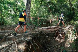 BIB: 
                            <button type="button" onclick="openModal(27799944)" class="btn btn-primary btn-sm float-right btn-popup" data-toggle="modal" data-target=".modal-high-quality">
                        <i class="fas fa-shopping-cart"></i> Add to Cart
                    </button>
                                            <button type="button" onclick="isThisMe(27799944, true)" class="btn btn-success btn-sm float-right btn-popup btn-isme hidden" data-toggle="tooltip" data-placement="bottom" title="นี่คือรูปของคุณใช่ไหม คลิกที่นี่เพื่อเอาเข้าอัลบั้ม">
                        <i class="fas fa-plus"></i> Add to album
                    </button>
                    <button type="button" onclick="isThisMe(27799944, false)" class="btn btn-warning btn-sm float-right btn-popup btn-isnotme hidden">
                        <i class="fas fa-ban"></i> Remove from album
                    </button>